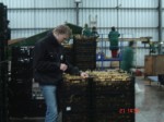 [js_bulbchecking by Sjoerd at Sone.jpg]